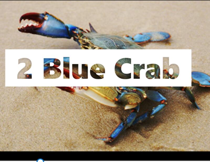 Blue Crabs