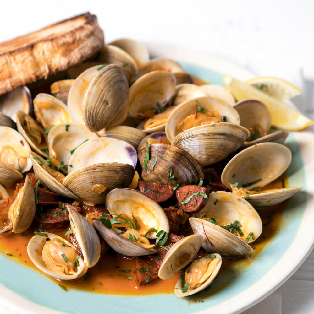 1LB Clam